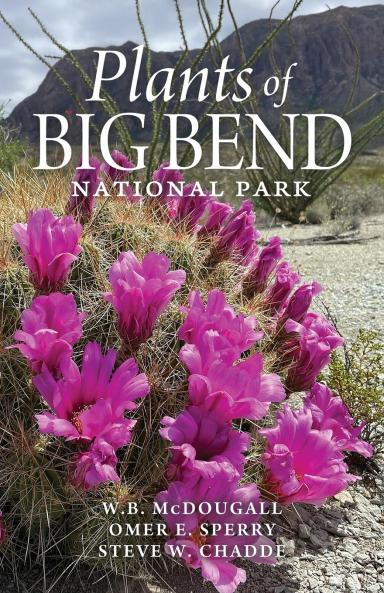 Plants of Big Bend National Park