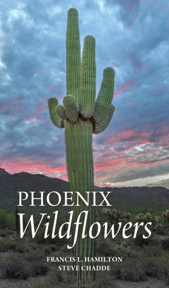 Phoenix Wildflowers
