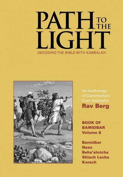 Path to The Light Vol. 8 - Bamidbar