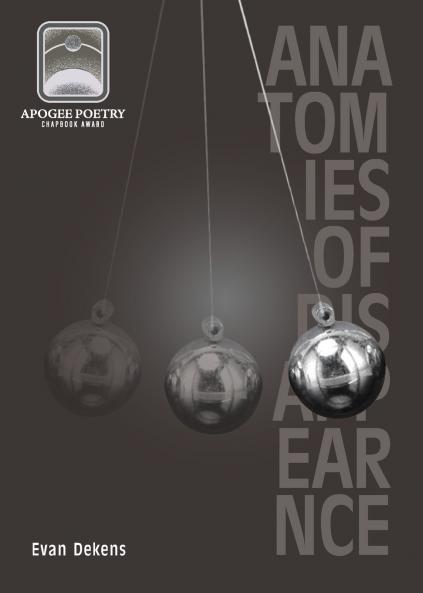 Anatomies of Disappearance