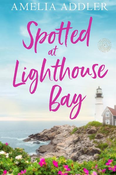 Spotted at Lighthouse Bay