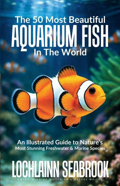 The 50 Most Beautiful Aquarium Fish in the World