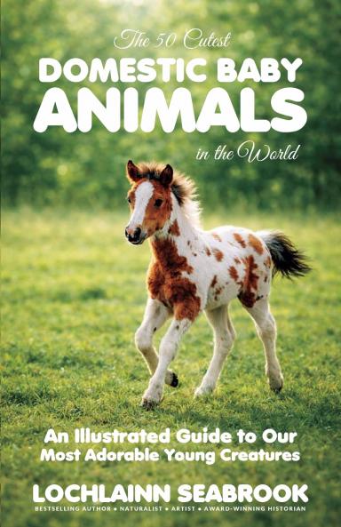 The 50 Cutest Domestic Baby Animals in the World