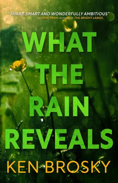 What the Rain Reveals