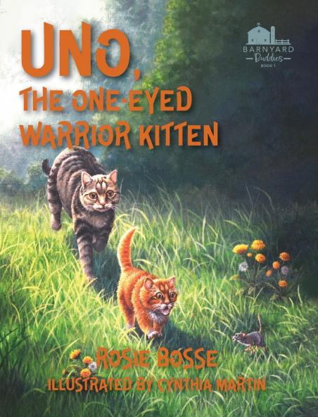 Uno the One-Eyed Warrior Kitten