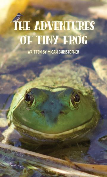 The Adventures of Tiny Frog