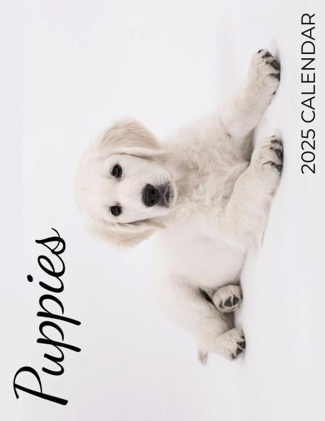 Puppies 2025 Calendar