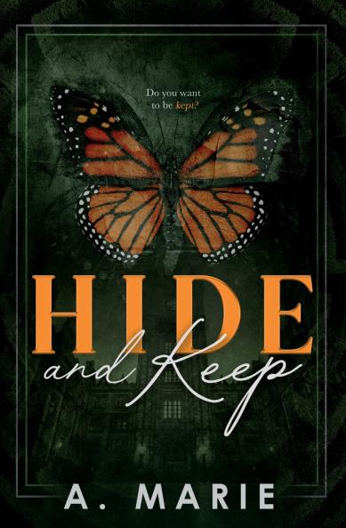 Hide and Keep Discreet Cover