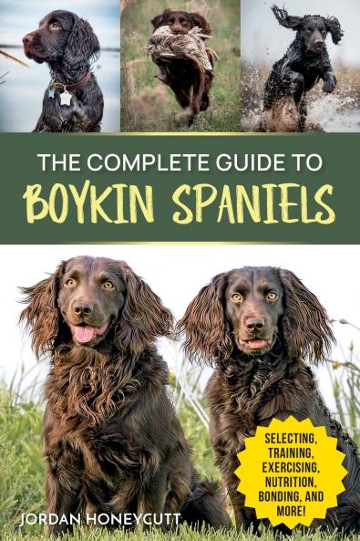The Complete Guide to Boykin Spaniels