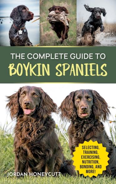 The Complete Guide to Boykin Spaniels