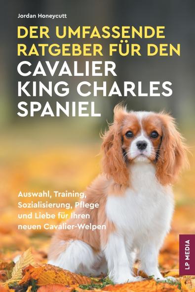 Der Umfassende Ratgeber Für Den Cavalier King Charles Spaniel