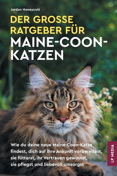Der große Ratgeber für Maine-Coon-Katzen