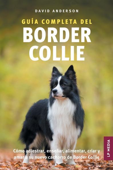 Guía Completa del Border Collie