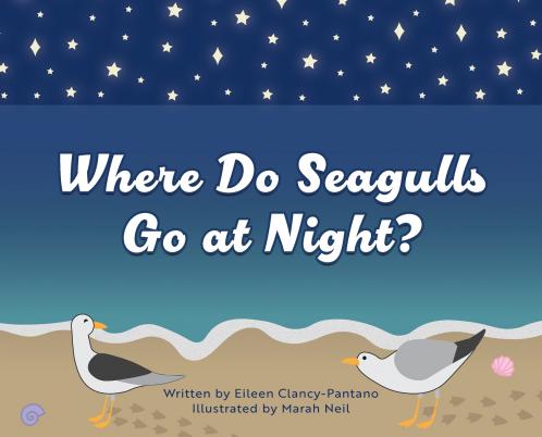 Where Do Seagulls Go at Night?