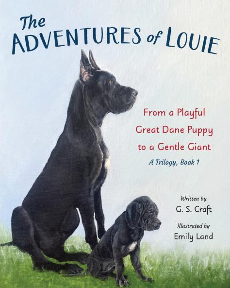 The Adventures of Louie