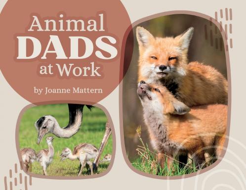 Animal Dads at Work
