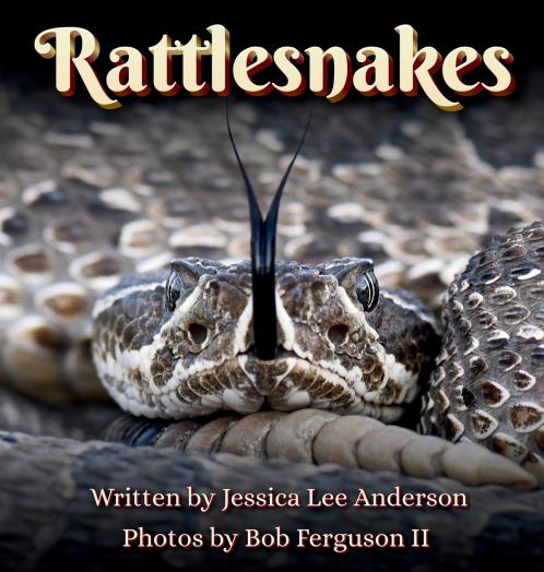 Rattlesnakes