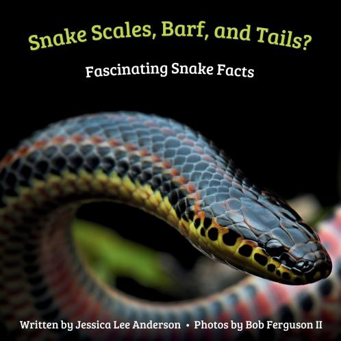 Snake Scales Barf and Tails? Fascinating Snake Facts