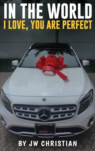 In the World I Love You are Perfect