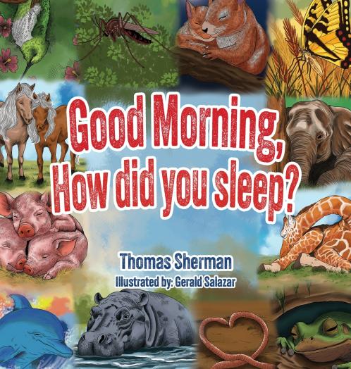 Good Morning How Did You Sleep?