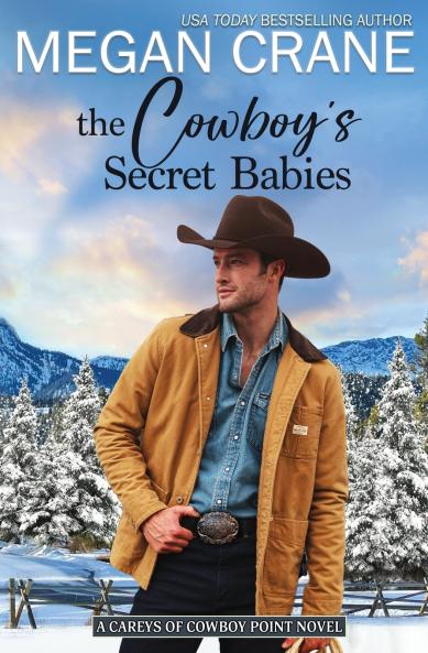 The Cowboy's Secret Babies