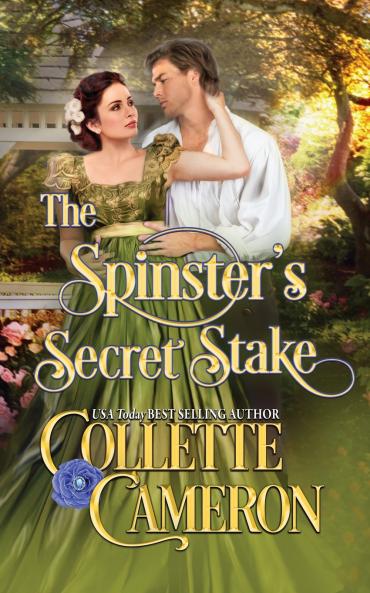 The Spinster's Secret Stake