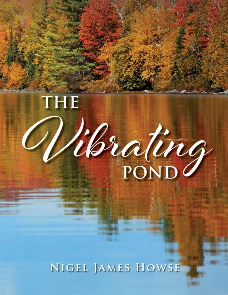 The Vibrating Pond