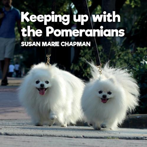 Keeping Up With The Pomeranians