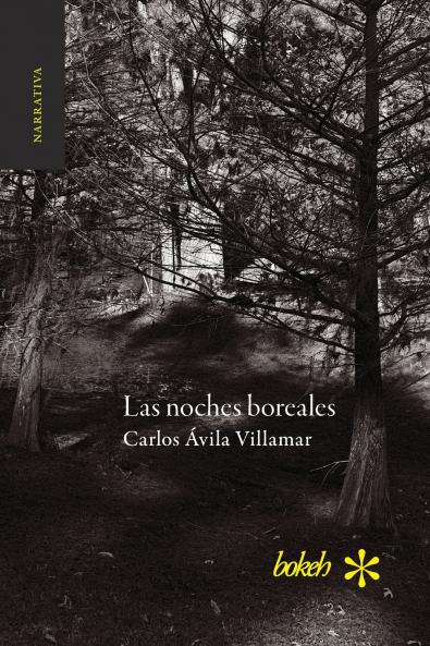 Las noches boreales