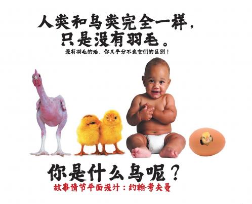 人类和鸟类完全一样，只是没有羽毛。