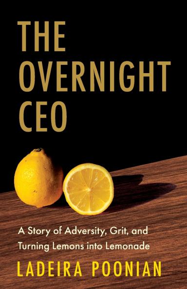 The Overnight CEO