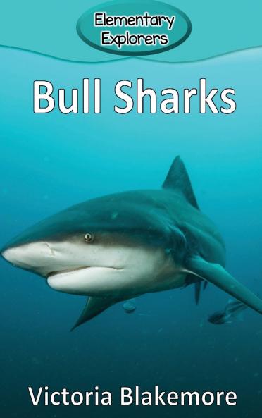 Bull Sharks