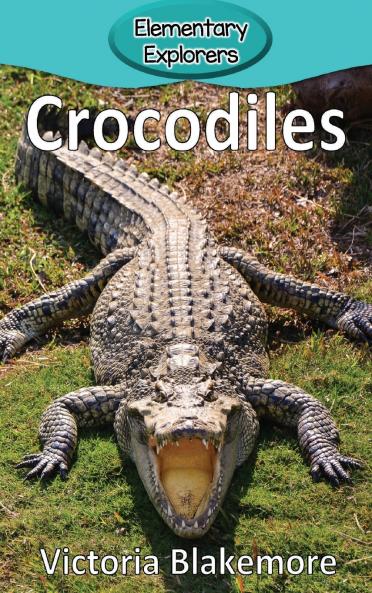 Crocodiles