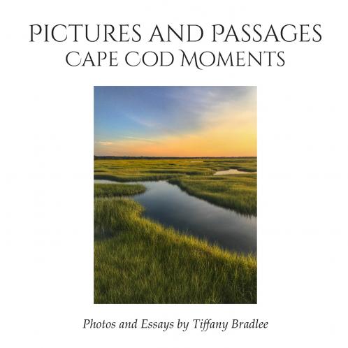 Pictures and Passages