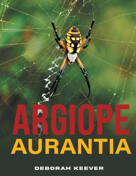 Argiope Aurantia