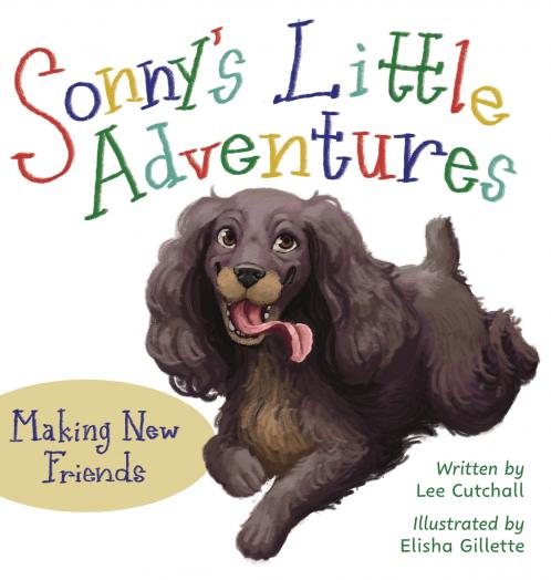 Sonny's Little Adventures