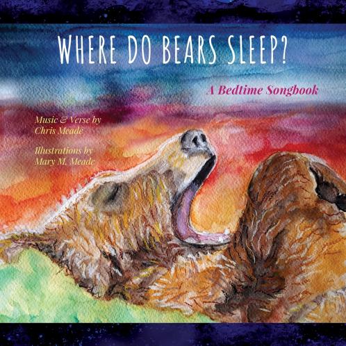Where Do Bears Sleep?