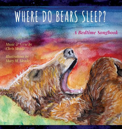 Where Do Bears Sleep?