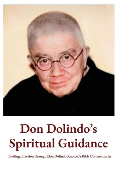 Don Dolindo's Spiritual Guidance