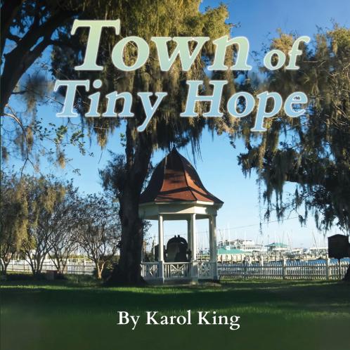 Town of Tiny Hope