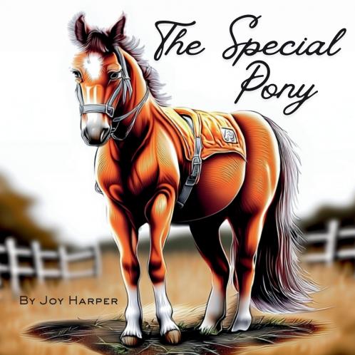 The Special Pony