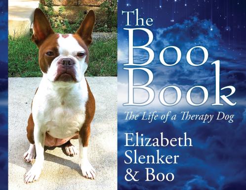 The Boo Book