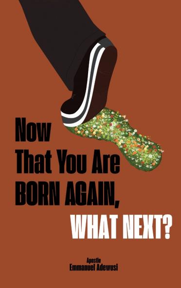 Now That You Are Born Again What Next?