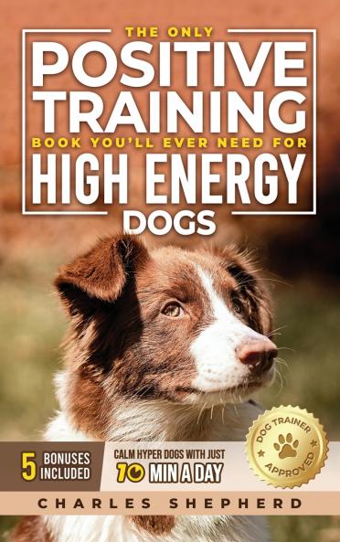 The Only Positive Training Book You'll Ever Need for High-Energy Dogs