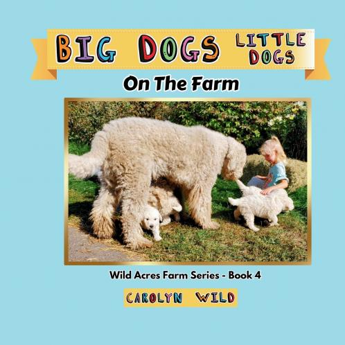 Big Dogs Little Dogs