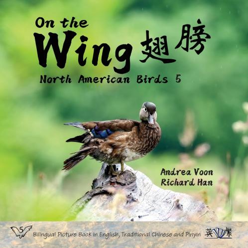 On the Wing ?? - North American Birds 5