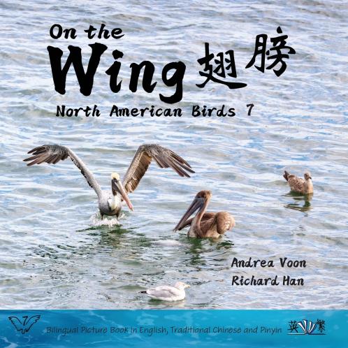 On the Wing ?? - North American Birds 7