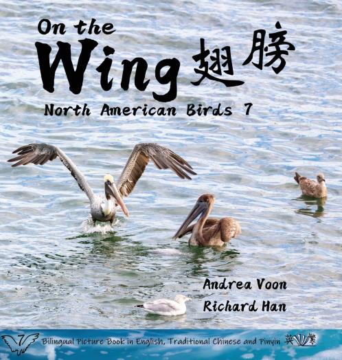 On the Wing 翅膀 - North American Birds 7
