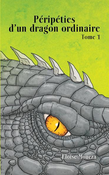 Péripéties d'un dragon ordinaire I
