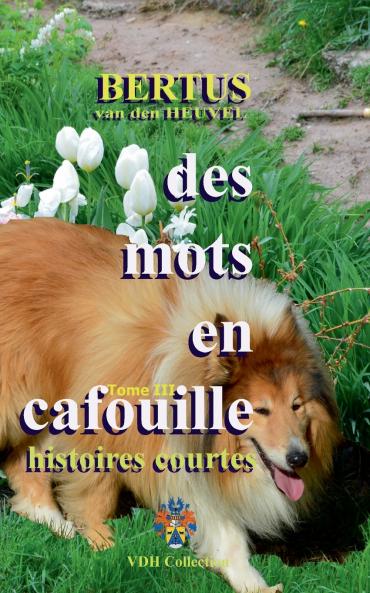 Des mots en cafouille III